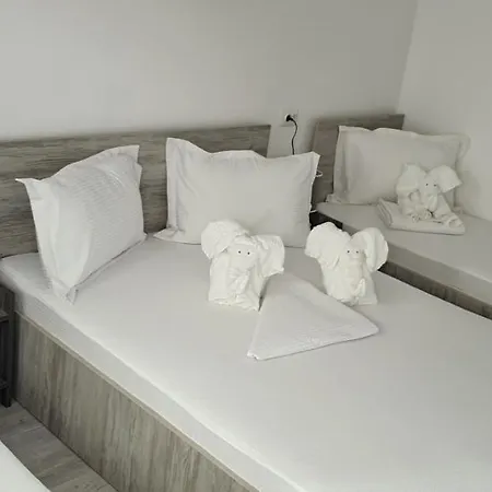 Casa David 康斯坦察